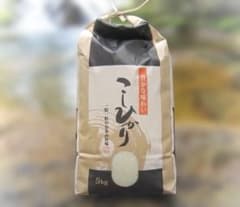 令和7年産 岐阜県郡上市産 コシヒカリ 5kg 無洗米のサムネイル