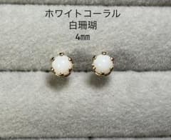 No3929ホワイトコーラル白珊瑚のピアス4㎜サージカルステンレス