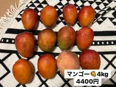 クール便発送　訳有マンゴー4kg!12-16玉のサムネイル