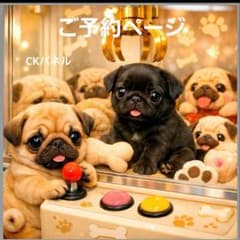激レアクレーンゲームポメラニアン、ダックス、パグ、トイプー、チワワ、柴犬パネル 激レアUFO キャッチャーパグ、ポメラニアン、チワワ、トイプー、柴犬