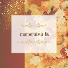 mamemistu様 リクエスト 2点 まとめ商品