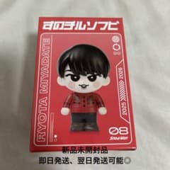 Snow Man すのチルソフビ 宮舘涼太 新品未開封 - メルカリ