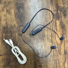 SONY ワイヤレスイヤホン ネイビー 充電ケーブル付きのサムネイル