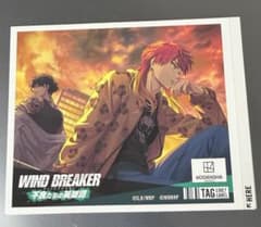 WIND BREAKER 라벨 수 스티커