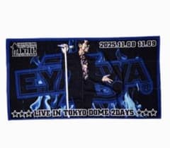 矢沢永吉 Do It! 2025 東京ドーム限定タオル - メルカリ