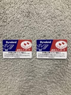 Dynaland スキー場利用券 2枚セットのサムネイル