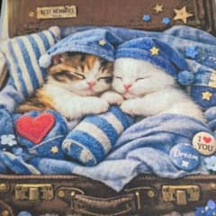 60 未使用 可愛い猫ちゃんパネル生地3枚 - メルカリ