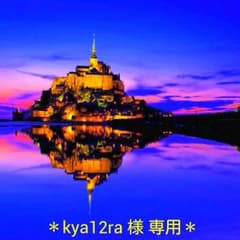 kya12ra様 専用です♪のサムネイル