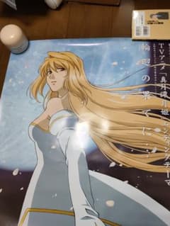 真月譚 月姫 & 折笠富美子 ポスター 真月譚 月姫 & 折笠富美子 ポスター - メルカリ