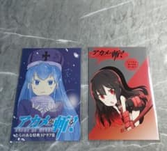 アカメが斬る！ とらのあな 購入特典 8ページ小冊子 リーフレット
