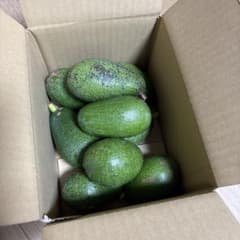 中～小ぶり・傷物＊国産アボカド【フェルテ】(管理番号：6146） - メルカリ