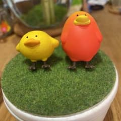 トリピカルズ3 レモンとマンゴーセットのサムネイル