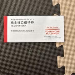 吉野家ホールディングス 優待券 500円券×10枚のサムネイル
