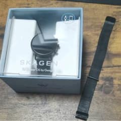 (概要欄、コメント必読)SKAGEN FALSTER2のサムネイル