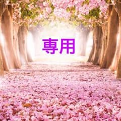 ののこ様 専用 ⑦ネイルパーツ レジンパーツ ネイルアート (12本セット)のサムネイル