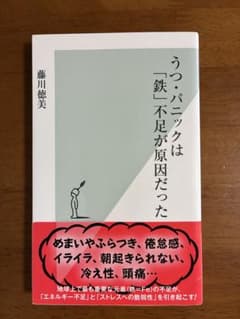 うつ・パニックは「鉄」不足が原因だったのサムネイル