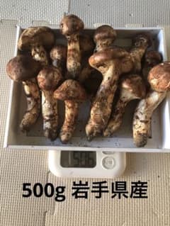 岩手県　国産　松茸　売り切りのサムネイル