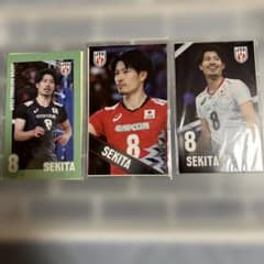 バレーボール男子日本代表 関田誠大 ステッカーセット - メルカリ