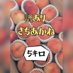 【訳あり】 幸茜/さちあかね 5キロのサムネイル