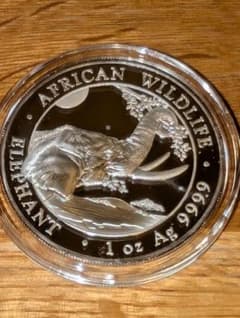 (保証書付)エレファント銀貨 2023年 保証書付)エレファント銀貨 2023年 - メルカリ