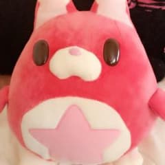 흰 고양이 프로젝트 별 타누키