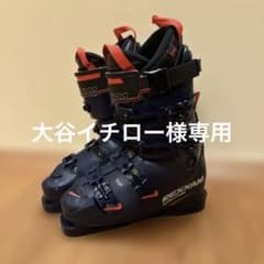 REXXAM REVO110M 25㎝ - メルカリ