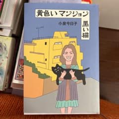 黄色いマンション黒い猫のサムネイル