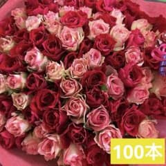 アニバーサリー＊赤とピンクの花束＊100本　ラッピング込　プロポーズ・誕生日・祝 アニバーサリー＊赤とピンクの花束＊100本 ラッピング込 プロポーズ