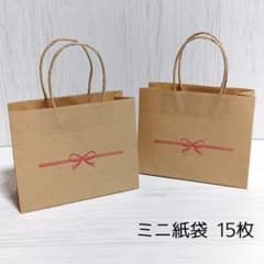 クラフト紙 ミニ紙袋 紙袋 ハンドメイド 水引 15枚 - メルカリ