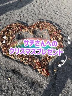 ハトサチ様専用 クリスマスプレゼントのサムネイル