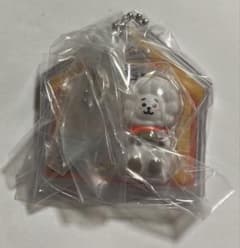 BT21 패키지 매력 키 체인 컬렉션 RJ