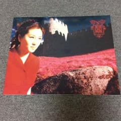 渡辺美里    1998  ハダカノココロ  Tour  パンフレットのサムネイル