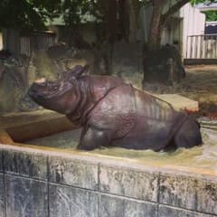 Faveur様専用のサムネイル