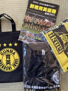 非売品　前橋育英サッカー部　チャンピオン特別記念Tシャツバッグタオルパンフレットのサムネイル