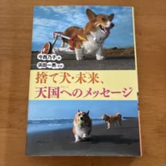捨て犬・未来、天国へのメッセージ 今西乃子 浜田一男のサムネイル