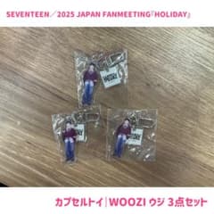 未開封】SEVENTEEN カプセルトイ WOOZI ウジ 3点セット - メルカリ