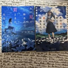 汐見夏衛 小説2冊セットのサムネイル