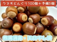 クヌギどんぐり 100個＋予備5個 煮沸消毒 天日干し済のサムネイル