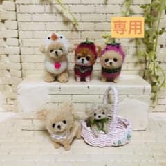 専用  ピンクいちごの着ぐるみ チワワちゃんのサムネイル