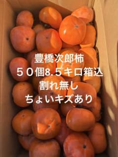 豊橋産 次郎柿 割れ無しちょいキズあり ５０個8.５キロ箱込のサムネイル