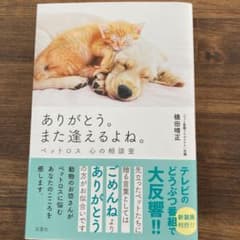 ありがとう。また逢えるよね。ペットロス 心の相談室のサムネイル