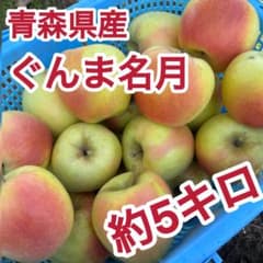 りんご ぐんま名月 約5キロ 青森県産 減農薬 家庭用のサムネイル