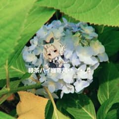緑茶ハイ様専用•*¨*•.¸♬︎ ポストカードのサムネイル