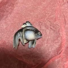 俊兼　トシカネジュエリー　ＴＫ　金魚　黒　有田焼　　留め具なし　小さめ　未使用品のサムネイル