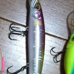 ガンちゃん様専用のサムネイル