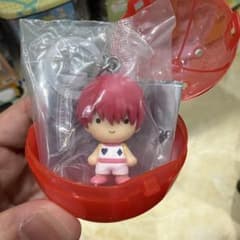 HUNTER×HUNTER 메지루시 액세서리 GI편 히소카