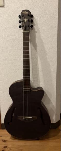 Ania EST.1956 アコースティックギターダークブラウン＋ギター小道具等 Ania EST.1956 アコースティックギターダークブラウン＋ギター小道具等