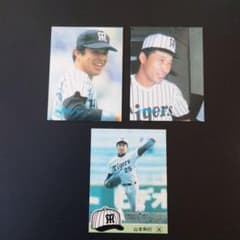 プロ野球チップスカード 阪神タイガース 山本和行 掛布雅之 佐野仙好