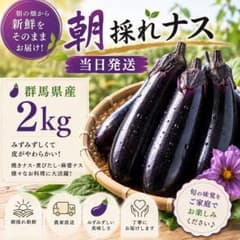 群馬県産 朝採れナス 約2kgのサムネイル