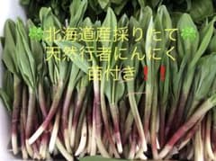 アイヌネギ ❣️行者ニンニク‼️キトピロ❗️ 山菜！天然物！！漫画ゴールデンカムイ❗️のサムネイル
